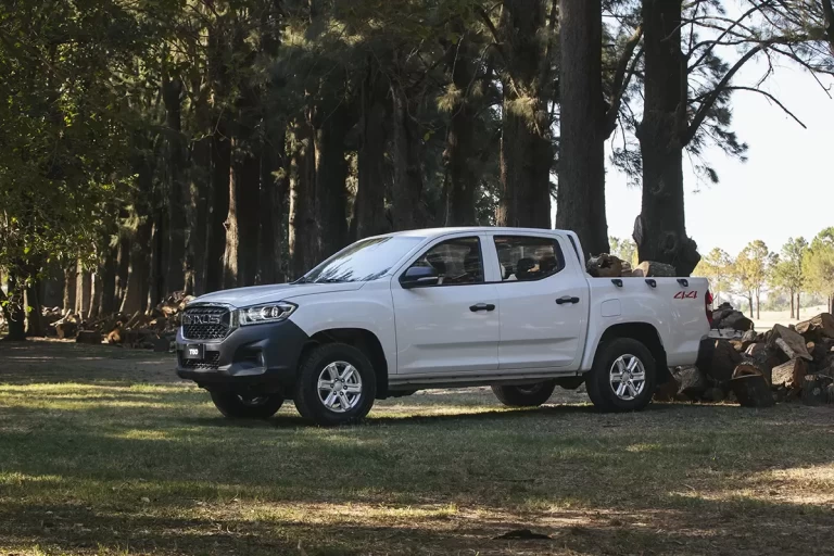 T60 (7)